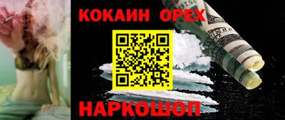 стаф Кудрово