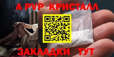 стаф Кудрово