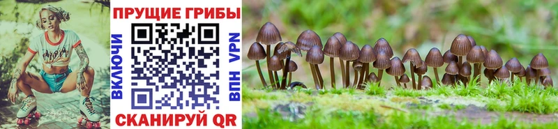 Псилоцибиновые грибы ЛСД  как найти наркотики  ссылка на мегу ONION  Абакан 
